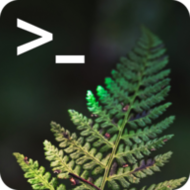 Fern logo; A black square with rounded edges with a ">_" shown in white text in the upper left corner and a green fern leaf occupying the majority of the remaining area"